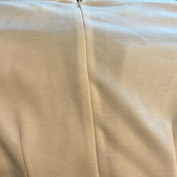 Short White and Tan Dress with Sheer Panel - Picture 4 of 4